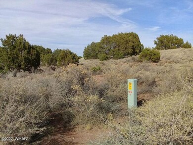 4509 Appaloosa #4