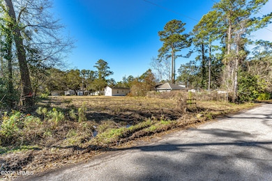 12 Tillman St, Bluffton, SC 29910 - photo 6