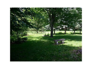 Yard.
