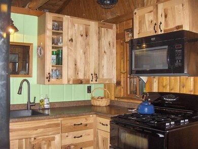 10804 S L Lakes View Dr, Baldwin, MI 49304 - photo 3