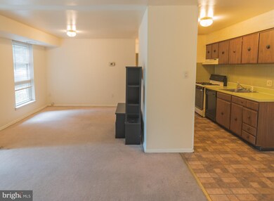 2305 Greenery Ln unit 1013, Silver Spring, MD 20906 - photo 2