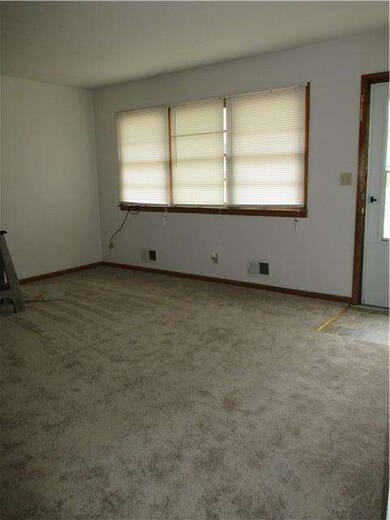 New Carpet