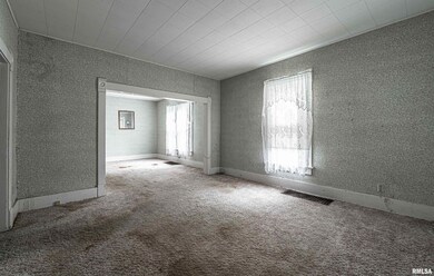 310 4th St, Lincoln, IL 62656 - photo 4