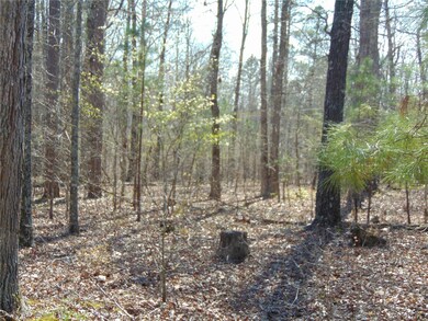 0 Tbd Co Rd 431, Poplar Bluff, MO 63901 - photo 7