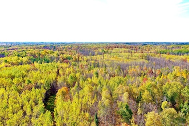 NA Na, Skelton Township, MN 55707 - photo 3