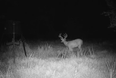 0 Township Road 1239, Washington Township, OH 43821 - photo 7