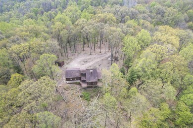 30901 Chestnut Ridge Rd, Danville, OH 43014 - photo 4