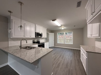 133 Hollis Ave, Newton, AL 36352 - photo 5