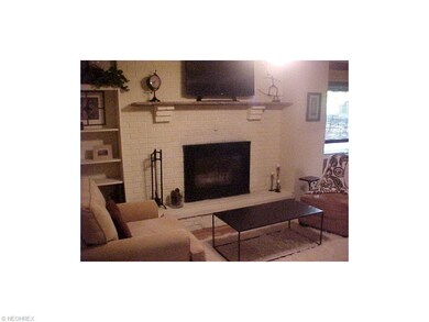 Wood burning fireplace.  Nice mantel and seat in f