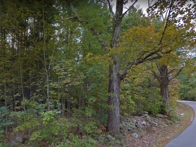 M-34 L-18 Gold St unit Map 34 Lot 18, Milton, NH 03851 - photo 3