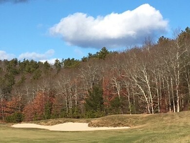 33 Conifer Hill unit 33, Plymouth, MA 02360 - photo 5