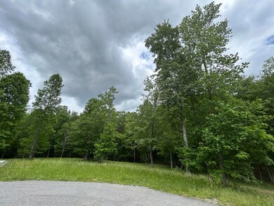 IMG_9464