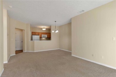 1017 Aqua Marine Blvd, Avon Lake, OH 44012 - photo 4