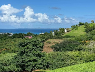 653 Calle Bastimiento, Vieques, PR 00765 - photo 4