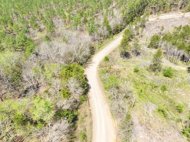 Brushy Ridge Rd, Smithville, OK 74957 - photo 3