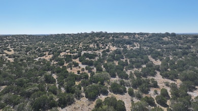 Sd 44069, Rocksprings, TX 78880 - photo 3