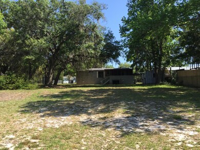 looking up from lake