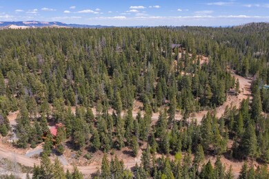 102-Swains Creek