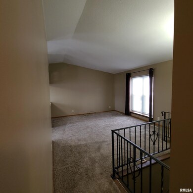 1728 W 58th St, Davenport, IA 52806 - photo 3