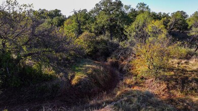 Tbd Cr 290, Breckenridge, TX 76424 - photo 4