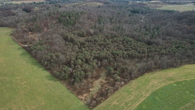 0 Knob Farm Rd Lot unit WP001, Grampian, PA 16838 - photo 2