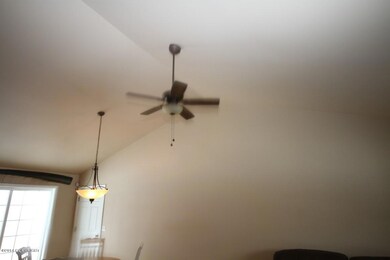 Vaulted Ceilings