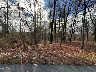 L11.9 Clarks Mills Rd, Greenwich, NY 12834 - photo 6