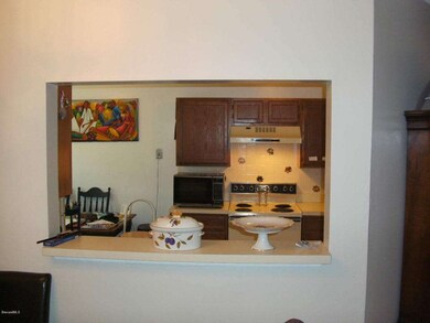 719 spring valley kitchen 2