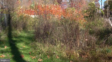 14429 MacAfee Hill Rd, Cascade, MD 21719 - photo 5