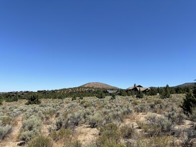 IMG_0259