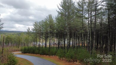 26 Peninsula Reserve Rd unit 26, Nebo, NC 28761 - photo 4