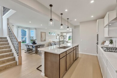 12628 Derry Dr unit 34001, Lemont, IL 60439 - photo 3