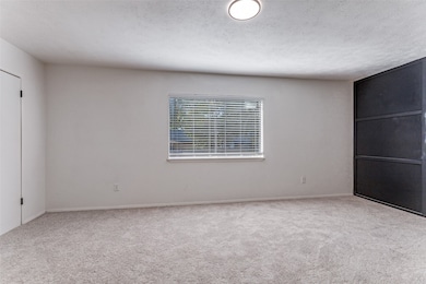 Unfurnished bedroom with light colored carpet, a textured ceiling, and a closet