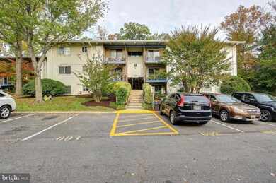 11408 Cherry Hill Rd unit 103, Beltsville, MD 20705 - photo 7