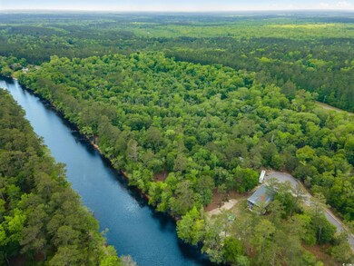 Bird's eye view with a water view and a view of tr
