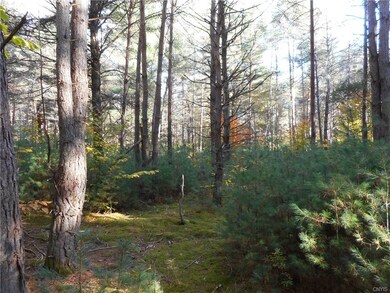 Lot / Land