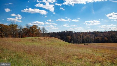 273 Airsports Dr, Amherst, VA 24521 - photo 4