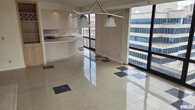 125 SW Jefferson Ave unit W20NE(B), Peoria, IL 61602 - photo 4