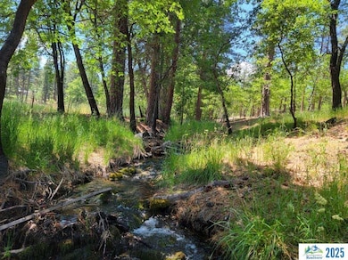 000 Dirt Pine St, Janesville, CA 96114 - photo 6