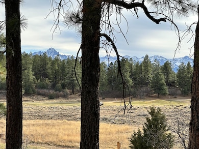 46 Marmot Ct unit 121, Ridgway, CO 81432 - photo 5