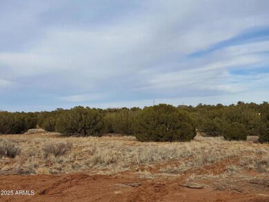 3933 Hidden Ranch Rd unit 56, Snowflake, AZ 85937 - photo 5
