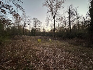 464 Deerbrook Ln, Lufkin, TX 75904 - photo 5