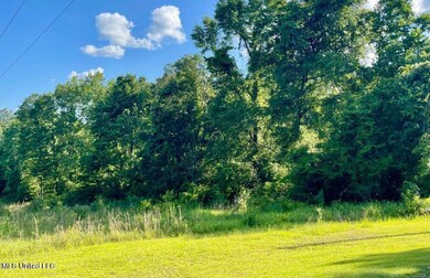 4.71 Ac September Ln, Lucedale, MS 39452 - photo 2