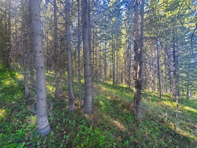 Mature Trees and gentle slope.
