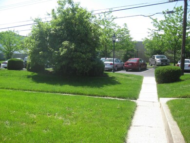 REAR YARD AND EXTRA PARKING