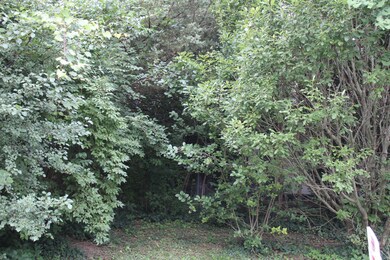 Front Trees