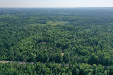 8124 Virginia Ely Rd, Babbitt, MN 55706 - photo 4