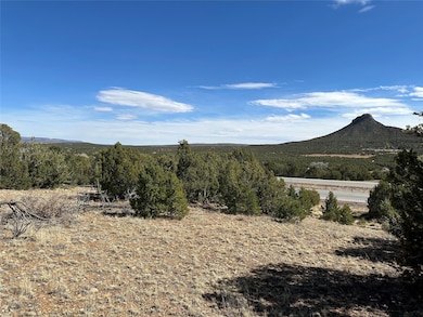 4.872 Acres Fronxtage Rd 2116, Serafina, NM 87569 - photo 2