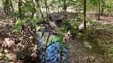 0 Lloyd Mill Rd unit 11615934, Andalusia, AL 36421 - photo 6