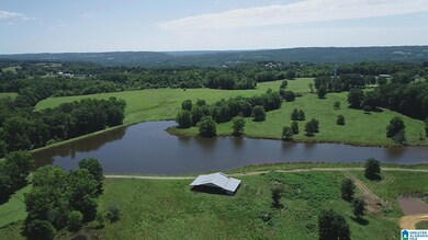 0 Highway 57 unit 21389691, Blountsville, AL 35031 - photo 7